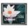 4GB Kingston CompactFlash Memory Card